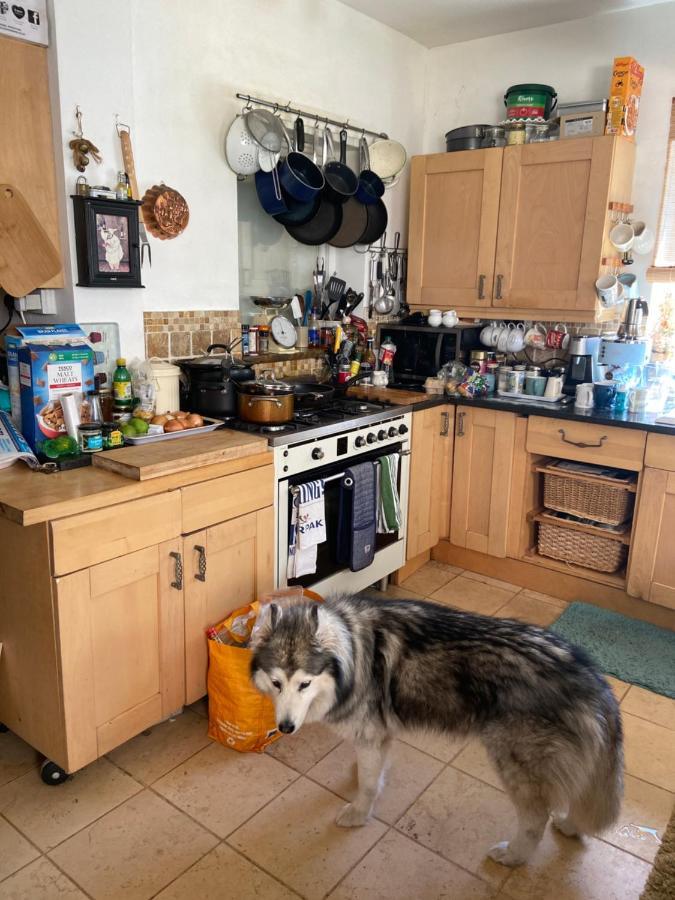 Comfy Cosy Little Room Tv Fridge Microwave Upton  Exteriör bild